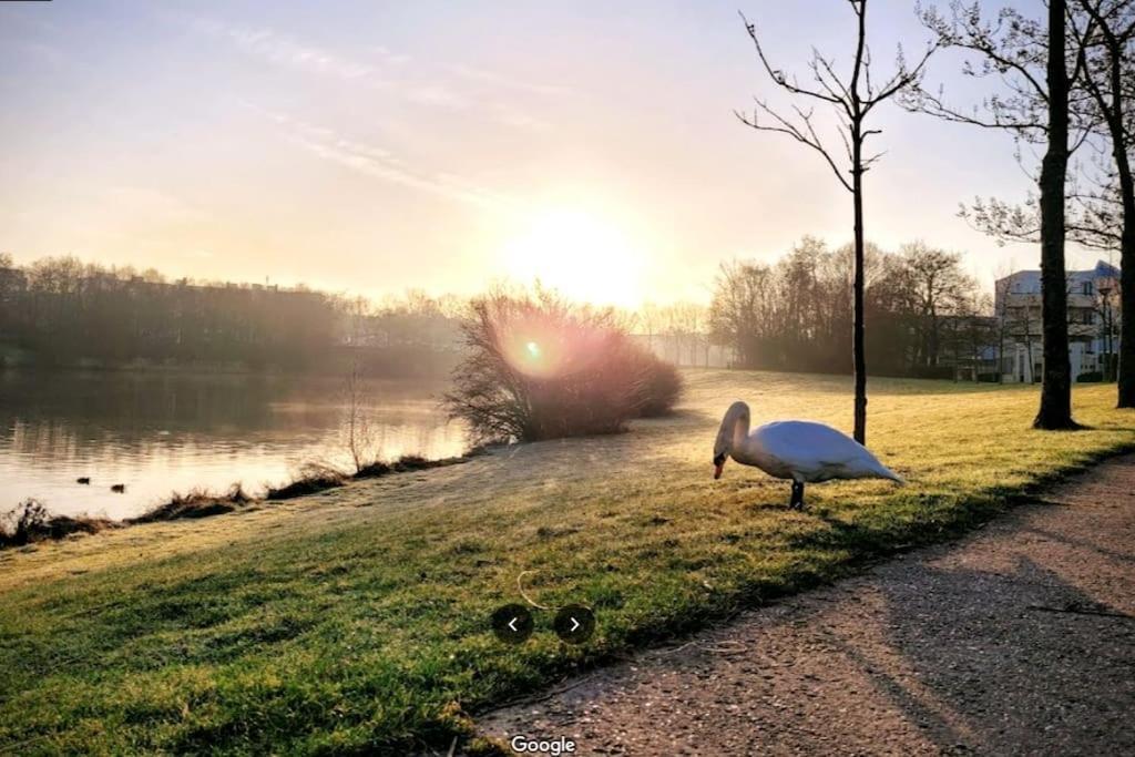Sejour En Famille Ou Amis A Disneyland & Paris Lognes Luaran gambar